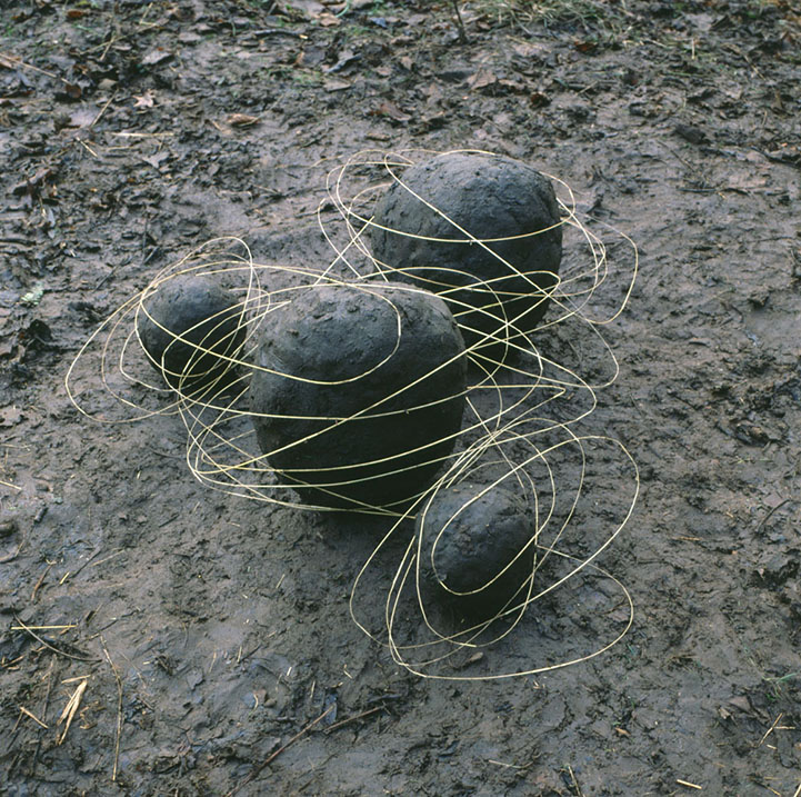 Site Specific Land Art by Andy Goldsworthy are Ephemeral Earthworks BOB客户端下载